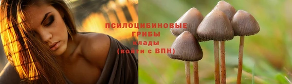 дурь Алексин