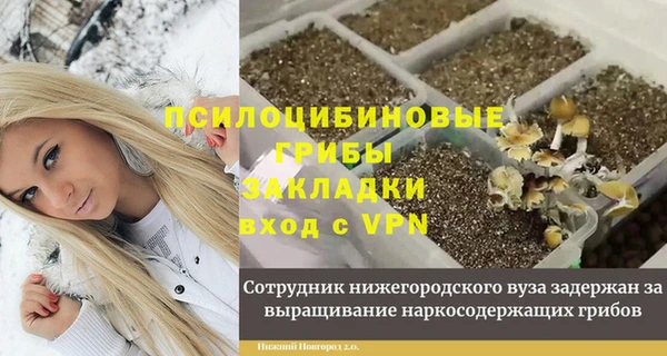 дурь Алексин