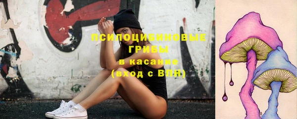 ECSTASY Покров