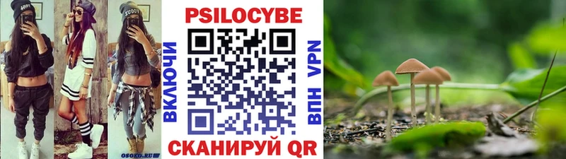 Псилоцибиновые грибы Psilocybe  hydra ONION  Нижний Ломов 